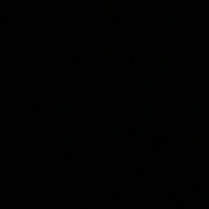 Meet your Posher, Aaliyah